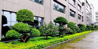 今年会jinnianhui官网 双鸭山绿化与市容