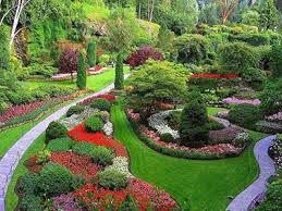 今年会官方网站 崇州园林绿化处 李建